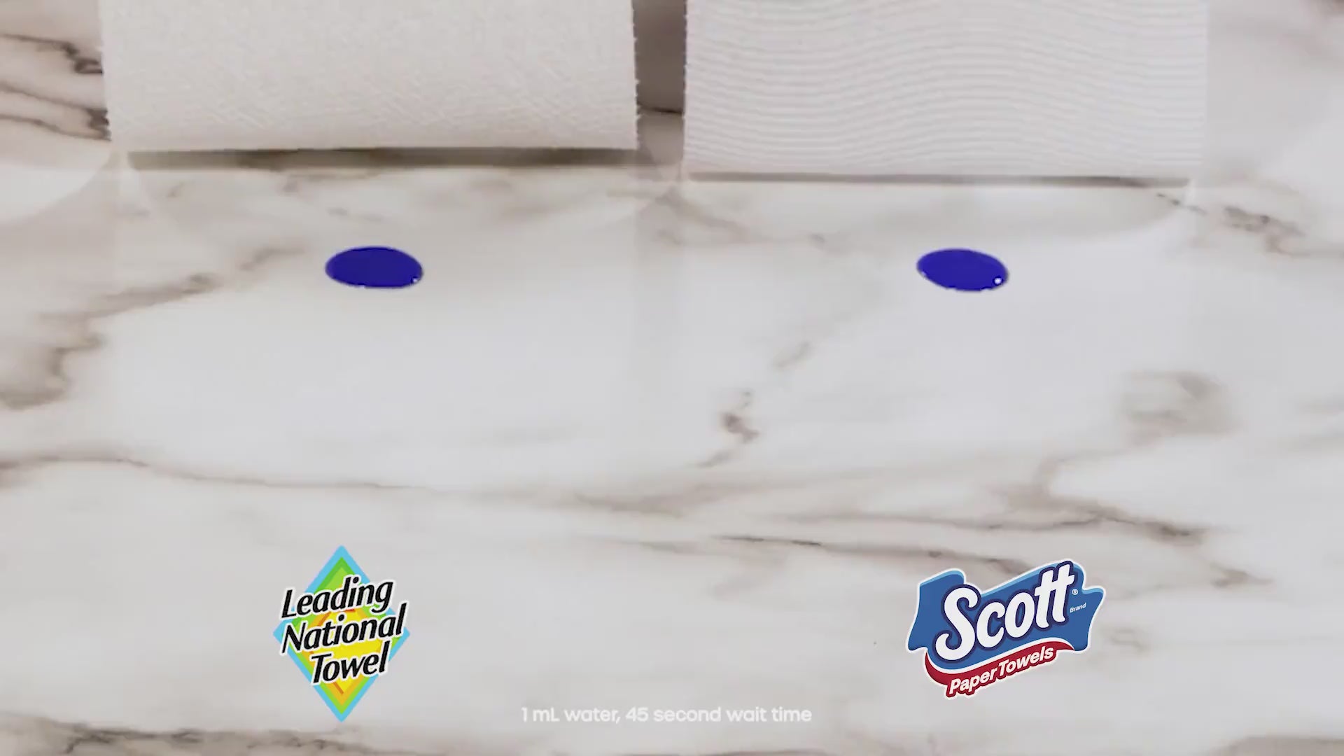 Scott Paper Towels